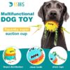 Interactive Dog Toy