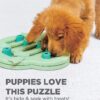 Interactive dog puzzle toy