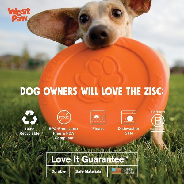 Frisbees for dogs