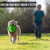 Fetch toy for dogs