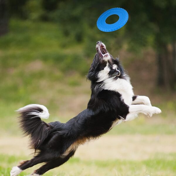 Frisbee for Dogs