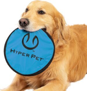 Fetch toy for dogs