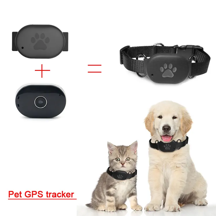 Dog Tracking Collars